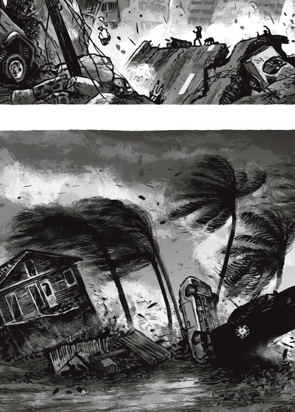 Poster Naturkatastrophen