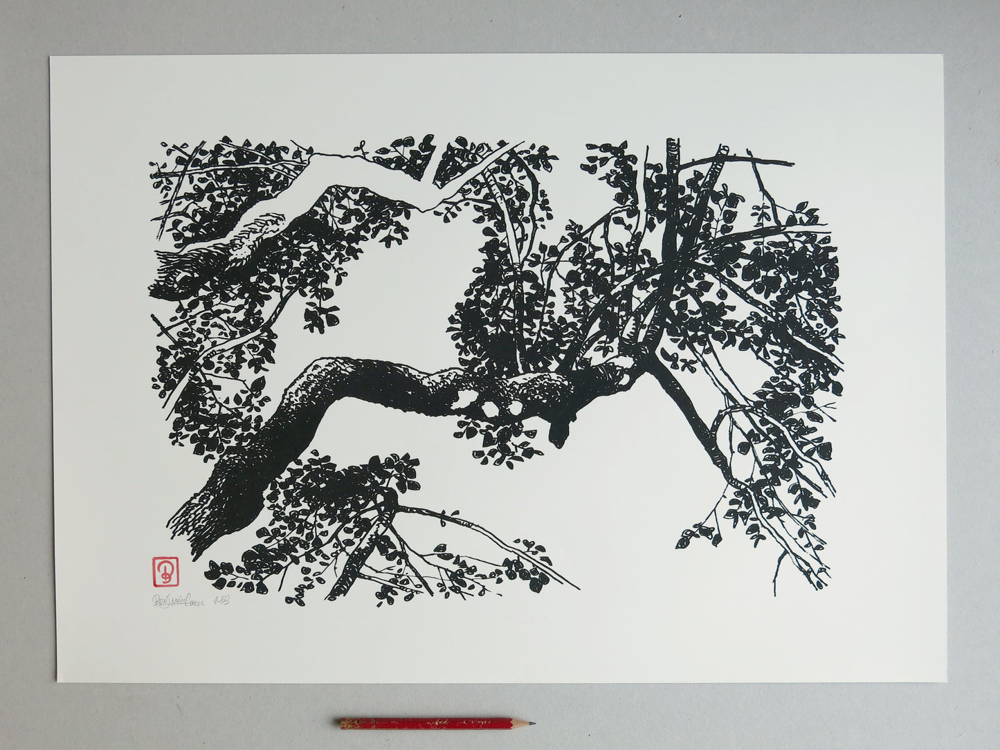 Siebdruck Lindenbaum