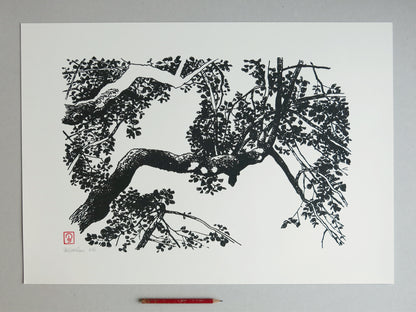 Siebdruck Lindenbaum