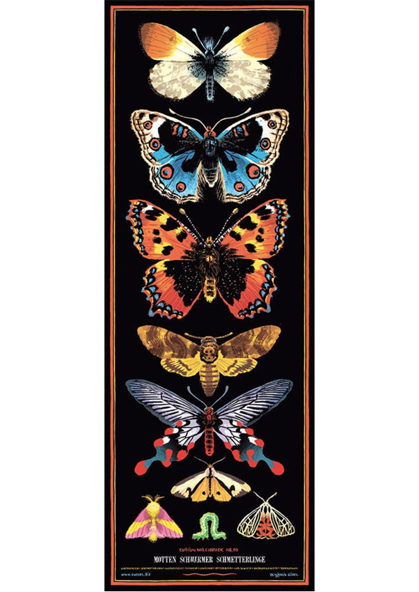 Poster Schmetterlinge Motten Schwärmer