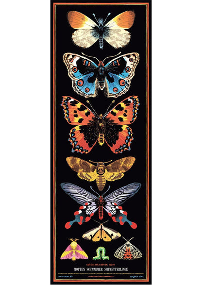 Poster Schmetterlinge Motten Schwärmer