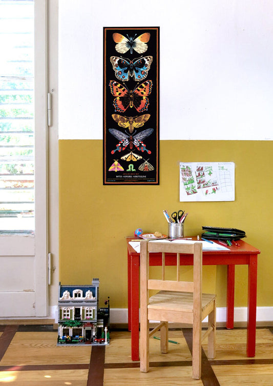 Poster Schmetterlinge Motten Schwärmer
