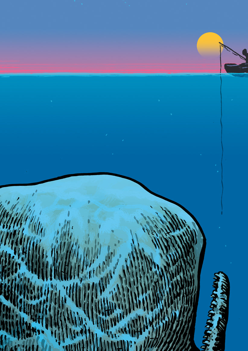 Poster Walfisch