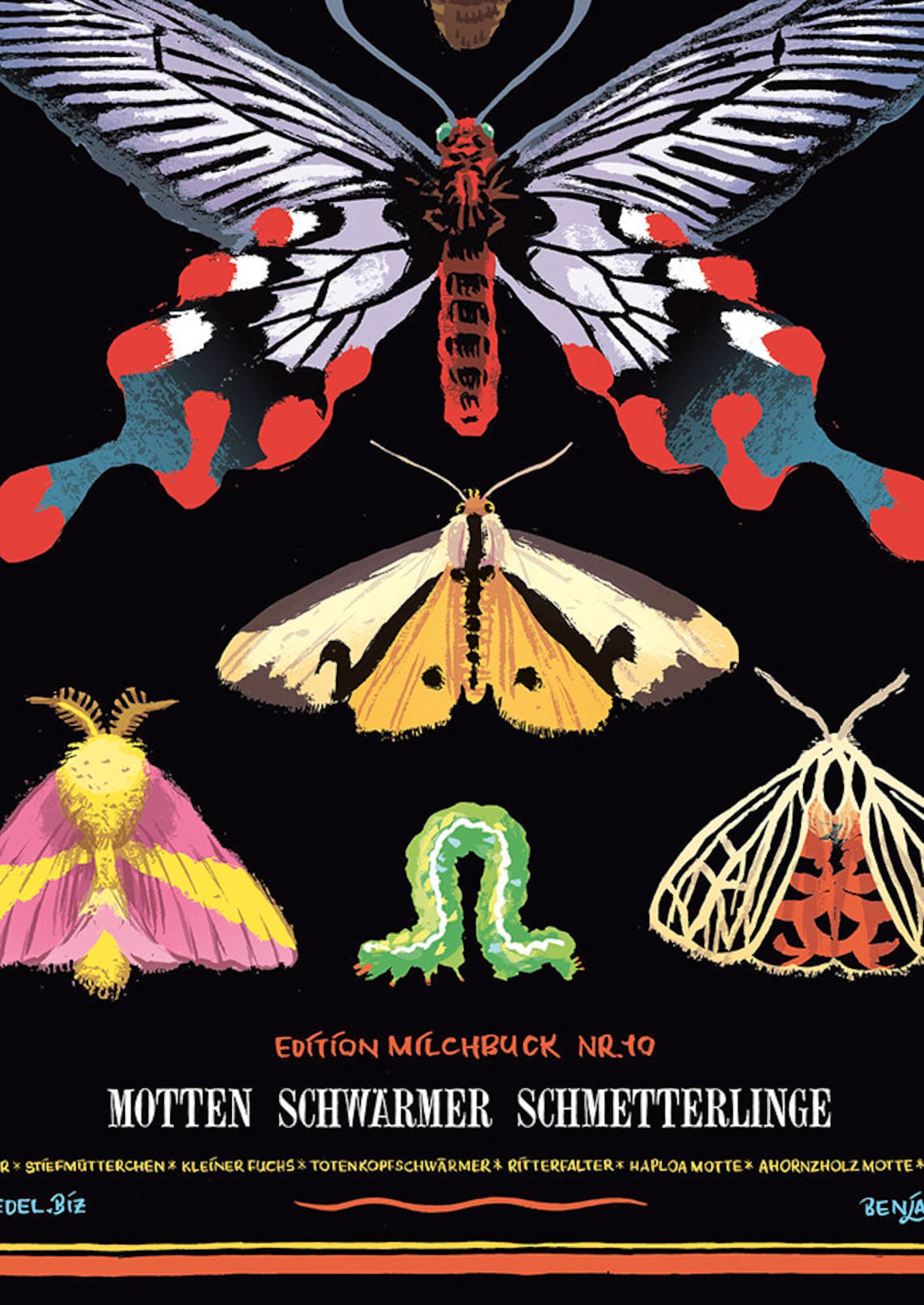 Poster Schmetterlinge Motten Schwärmer