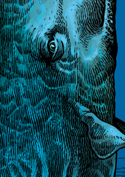 Poster Walfisch