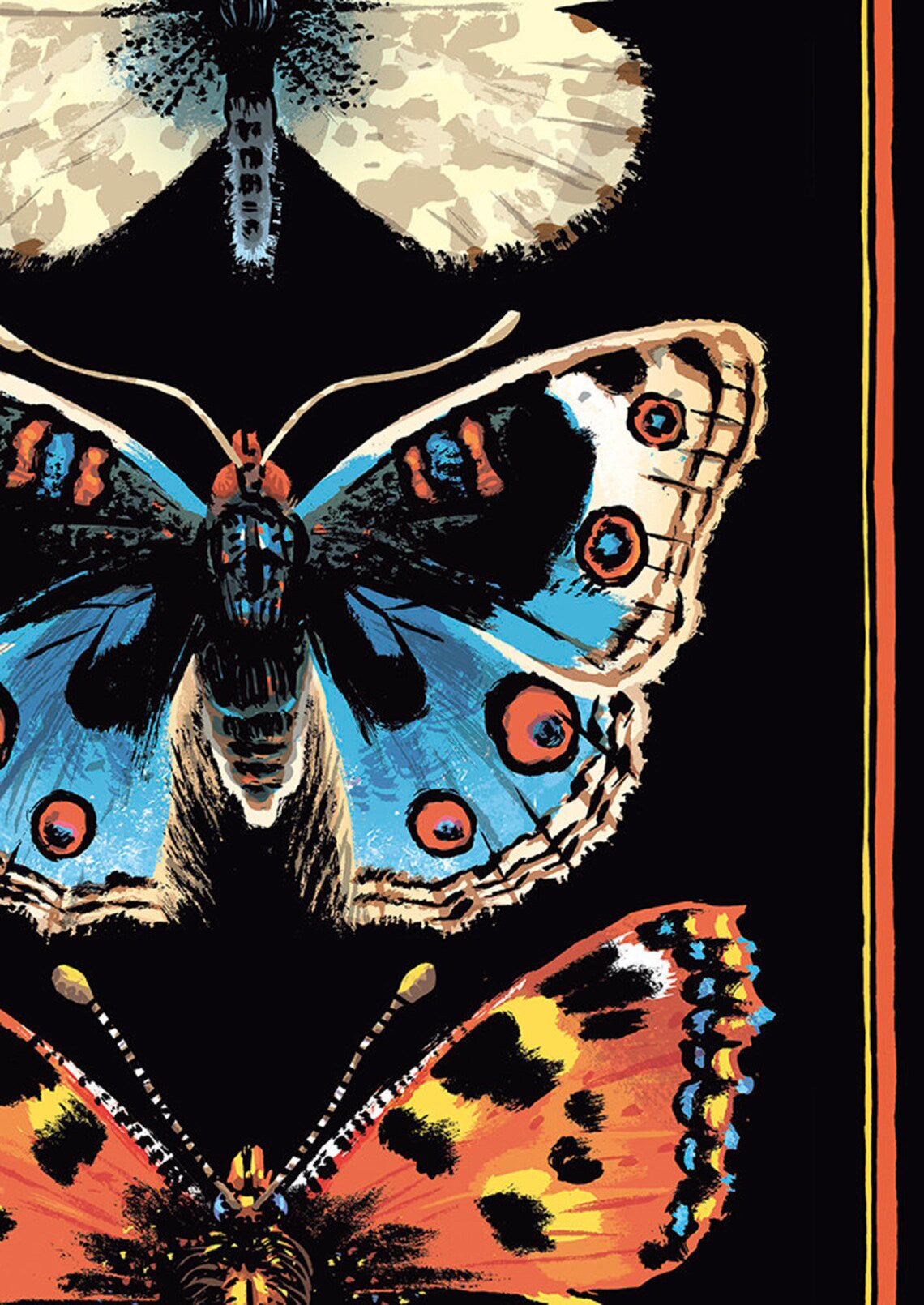 Poster Schmetterlinge Motten Schwärmer