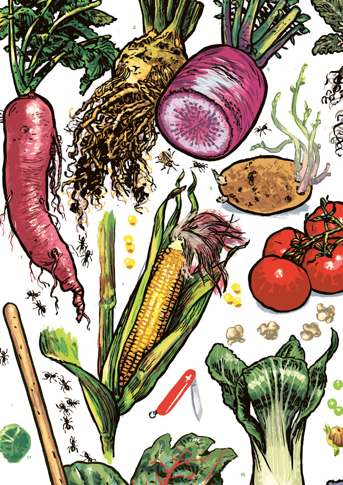 Poster Gemüsegarten