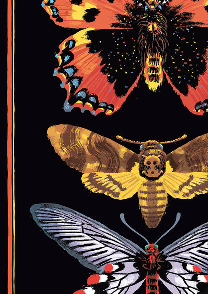 Poster Schmetterlinge Motten Schwärmer