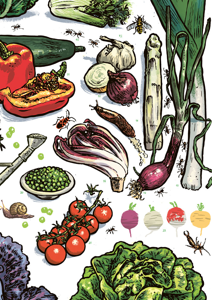 Poster Gemüsegarten