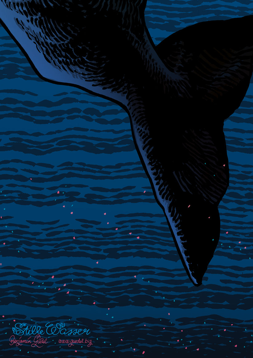 Poster Walfisch