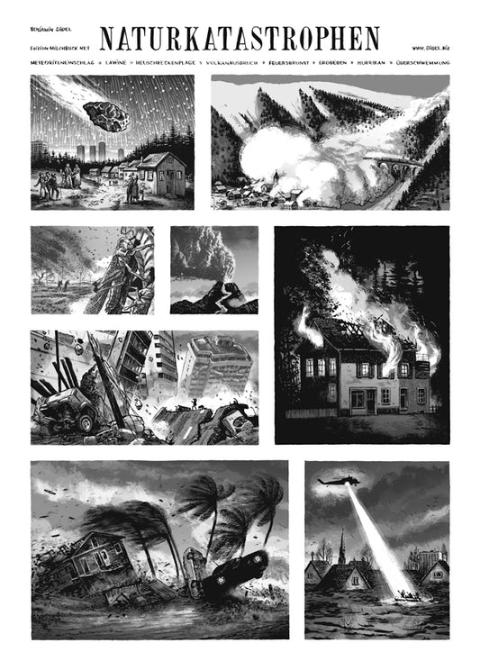 Poster Naturkatastrophen