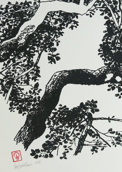 Siebdruck Lindenbaum