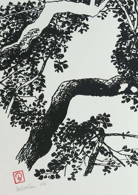 Siebdruck Lindenbaum