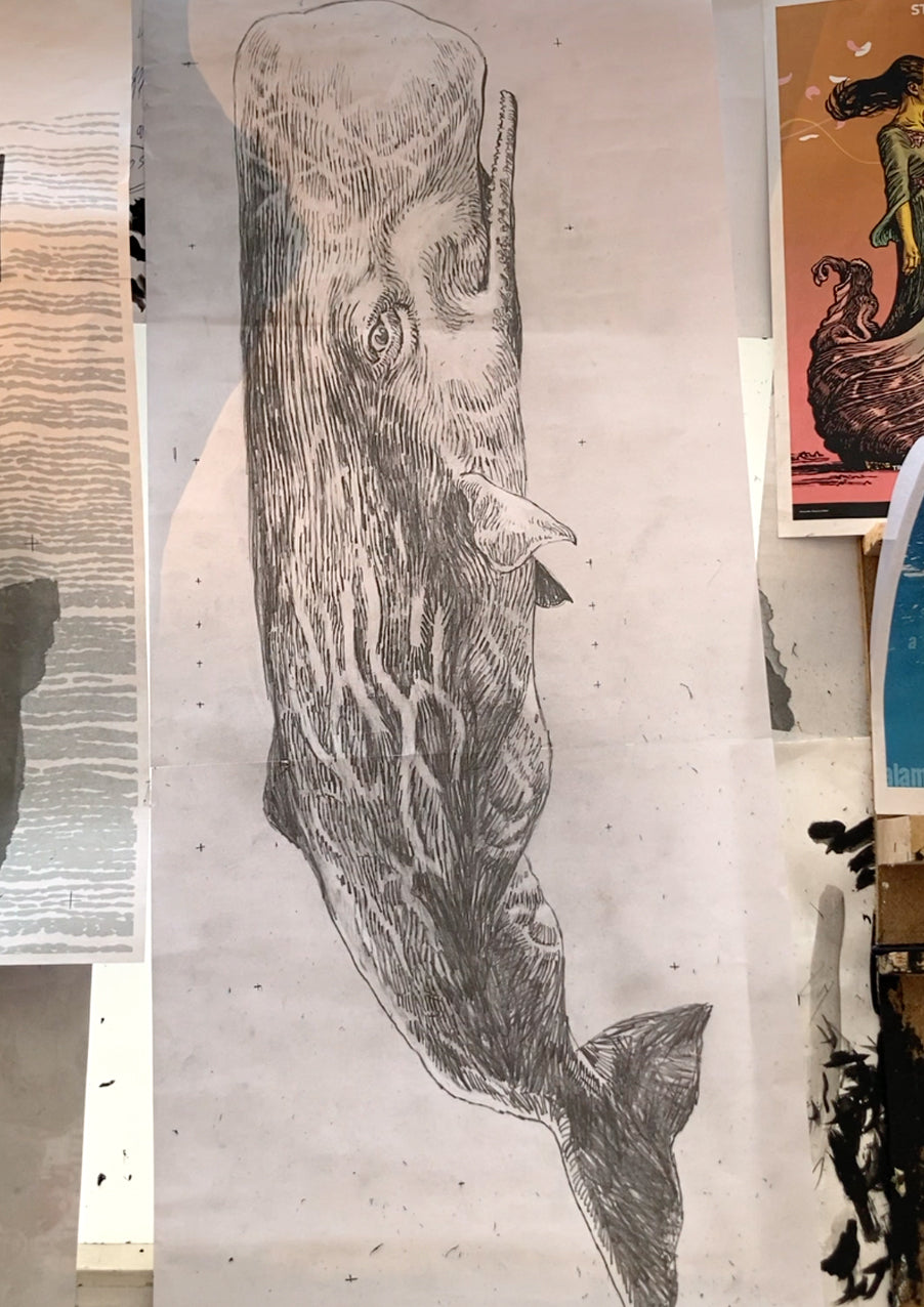 Poster Walfisch