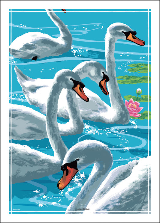 Poster Schwan Sommer